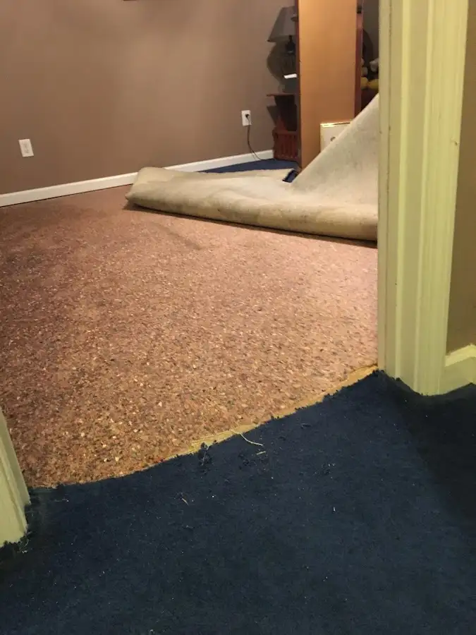 Carpet pad removal revealing water damage during Drying & Dehumidification in Weldon Spring
